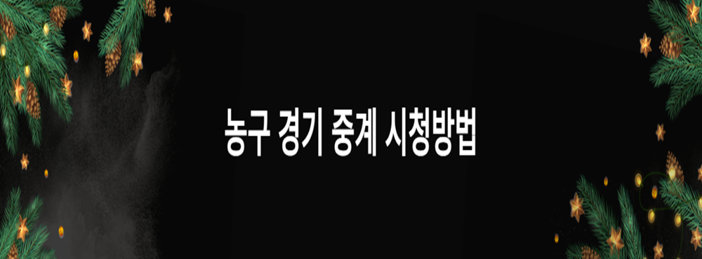 농구 경기 중계 시청방법